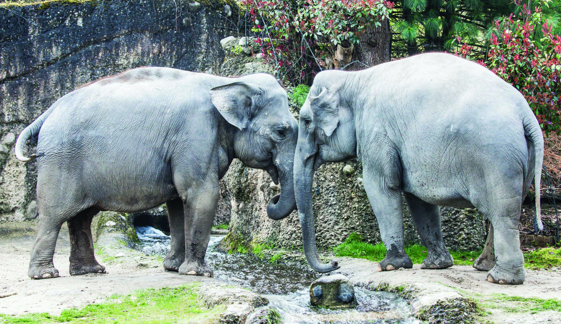 Photo by Louis Suissounet/Pexels